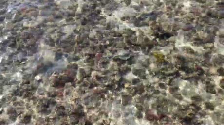 видео из отзыва ID 2703288