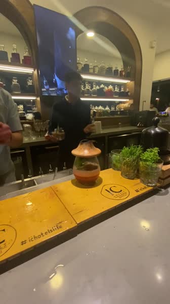 видео из отзыва ID 2704151