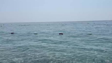 видео из отзыва ID 2704391