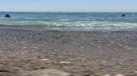 Видео из отеля