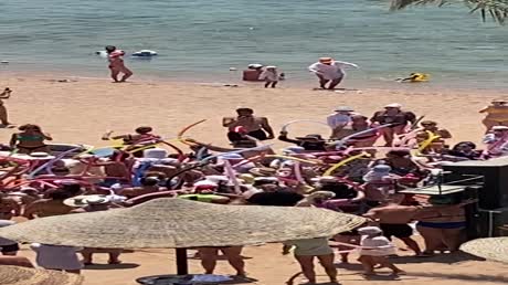 видео из отзыва ID 2704654