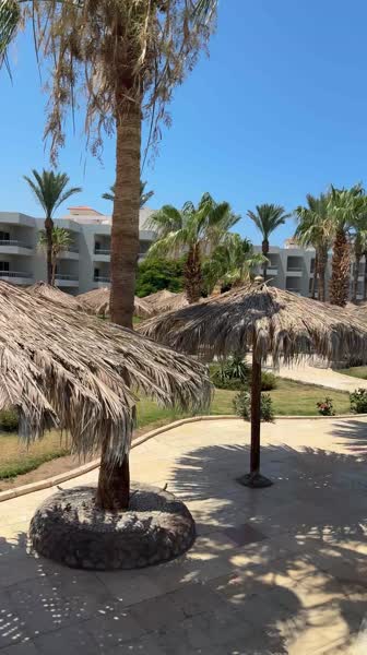 видео из отзыва ID 2704648