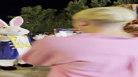видео из отзыва ID 2704791