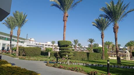 видео из отзыва ID 2704922