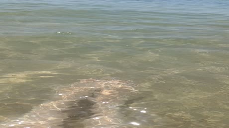 видео из отзыва ID 2705318