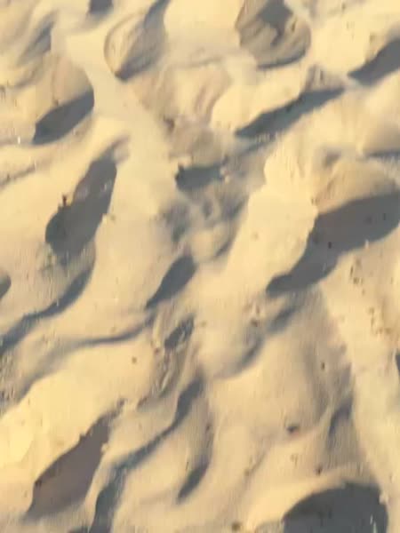 видео из отзыва ID 2705318