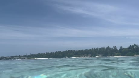 видео из отзыва ID 2706449