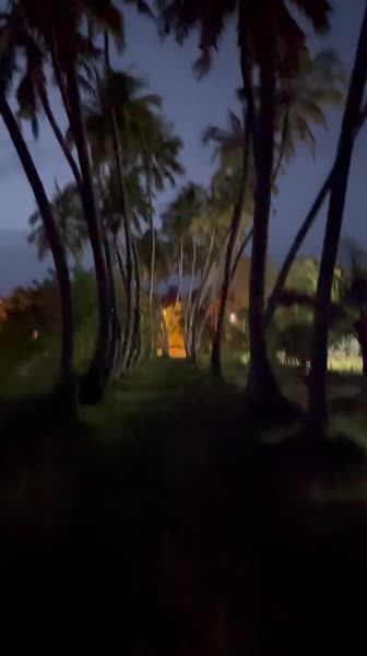видео из отзыва ID 2706449