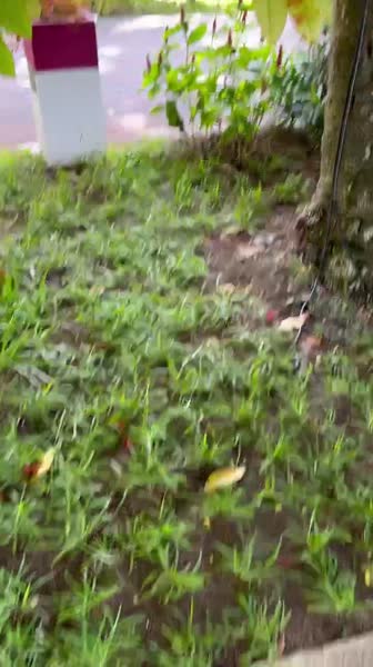 видео из отзыва ID 2706449