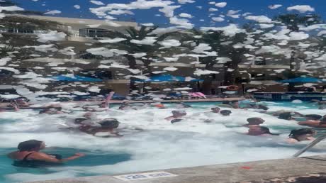 видео из отзыва ID 2706668