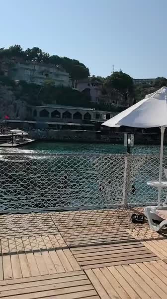 видео из отзыва ID 2706866