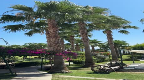 Hotel videos Justiniano Deluxe Resort 5*