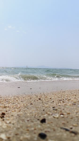 Видео из отеля Asia Pattaya 4*