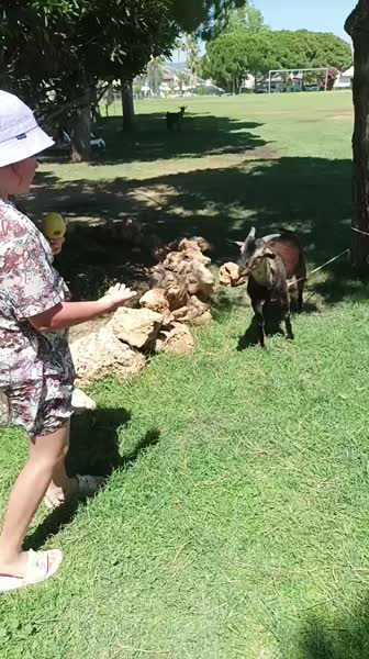 видео из отзыва ID 2707920