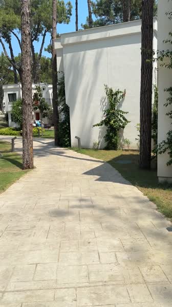 видео из отзыва ID 2708183