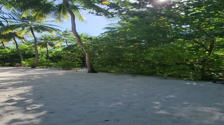 видео из отзыва ID 2708318