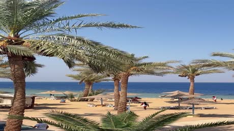 Hotel videos Queen Sharm Resort 4*