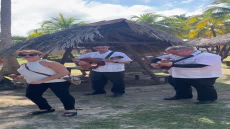 Hotel videos Melia Las Antillas 4*