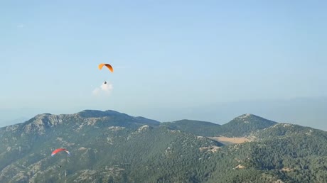 видео из отзыва ID 2709534