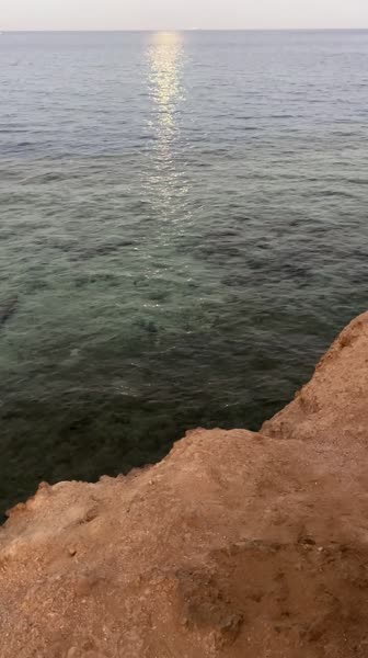 видео из отзыва ID 2710103