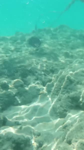 Hotel videos Naama Bay Hotel & Resort 5*