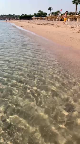 видео из отзыва ID 2710614