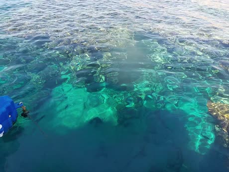 видео из отзыва ID 2711256