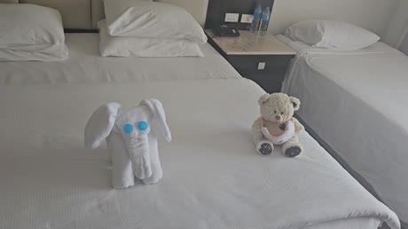Hotel videos