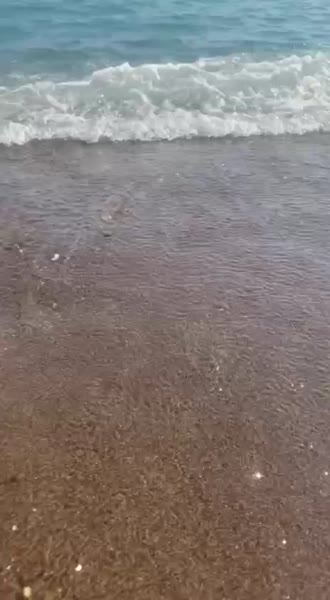 видео из отзыва ID 2711671