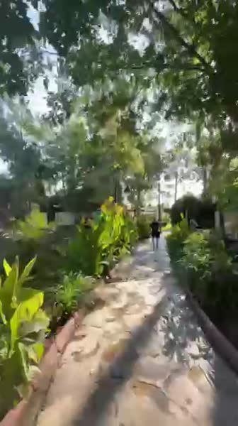 видео из отзыва ID 2711674