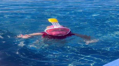 Видео из отеля Beach Albatros Resort - Hurghada 4*