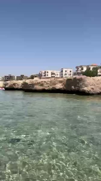 видео из отзыва ID 2712085