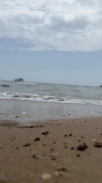 видео из отзыва ID 2712159