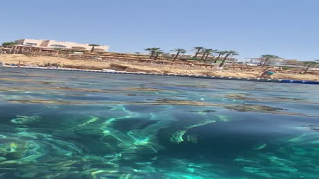 видео из отзыва ID 2712235