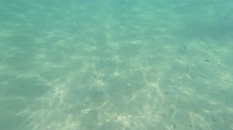 Видео из отеля Pickalbatros Aqua Blu Resort - Hurghada 4*