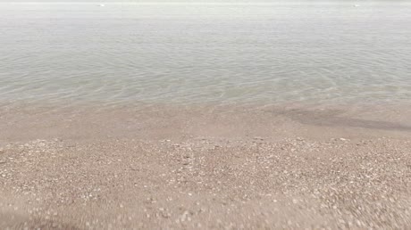 видео из отзыва ID 2713563