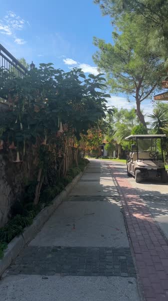 видео из отзыва ID 2714547