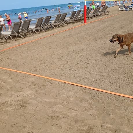 видео из отзыва ID 2714881
