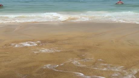Hotel videos Best Western Phuket Ocean Resort 3*