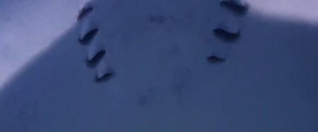 видео из отзыва ID 2715271