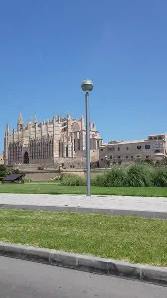 видео из отзыва ID 1809758