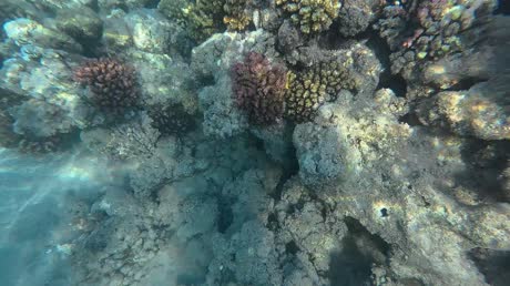 видео из отзыва ID 2713659