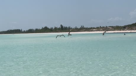 Hotel videos Woovo Playa Hermosa Cayo Paredon Resort 5*