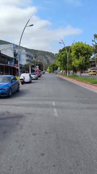 видео из отзыва ID 2716857