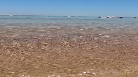 видео из отзыва ID 2717327