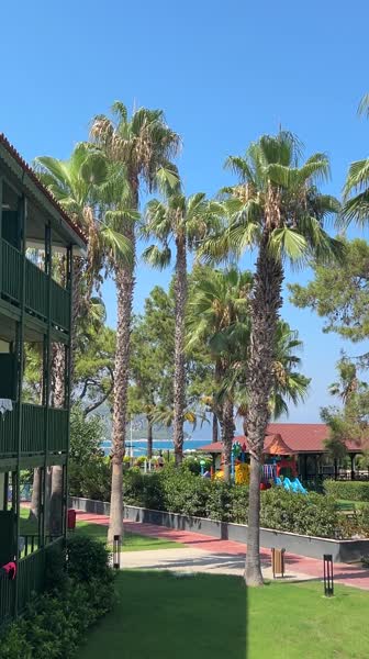 видео из отзыва ID 2717412