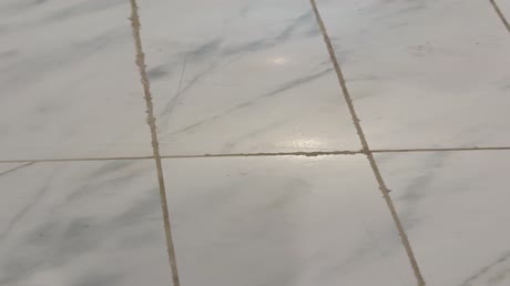Hotel videos Nirvana Mediterranean Excellence 5*