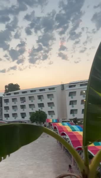 видео из отзыва ID 2709127