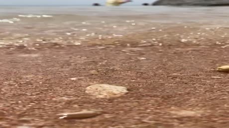 видео из отзыва ID 2719514