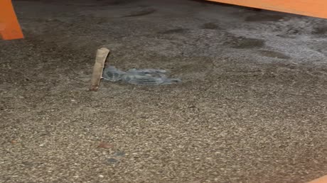 видео из отзыва ID 2719635